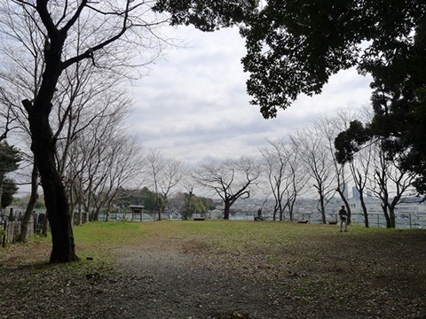 【眼下に住宅街が広がりところどころに市川市の名所が確認できます】